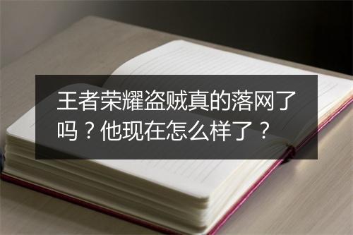 王者荣耀盗贼真的落网了吗？他现在怎么样了？