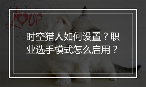 时空猎人如何设置？职业选手模式怎么启用？