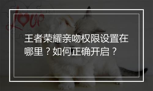 王者荣耀亲吻权限设置在哪里？如何正确开启？