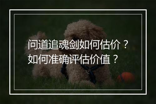 问道追魂剑如何估价？如何准确评估价值？