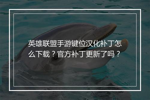 英雄联盟手游键位汉化补丁怎么下载？官方补丁更新了吗？