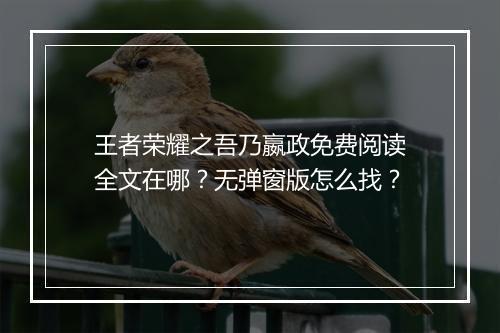 王者荣耀之吾乃嬴政免费阅读全文在哪？无弹窗版怎么找？