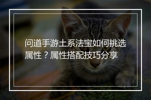 问道手游土系法宝如何挑选属性？属性搭配技巧分享