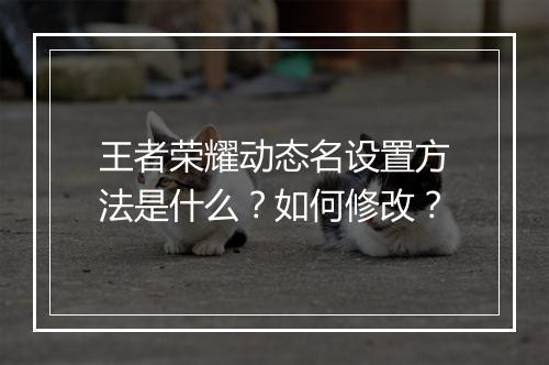 王者荣耀动态名设置方法是什么？如何修改？