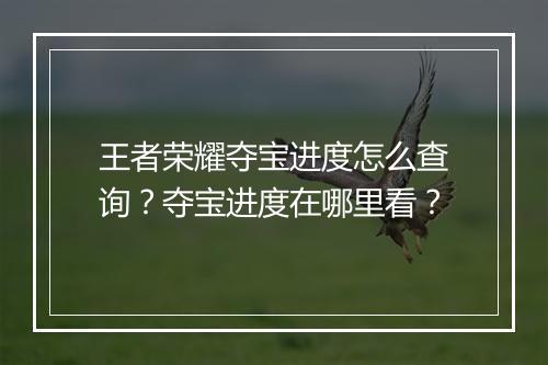 王者荣耀夺宝进度怎么查询？夺宝进度在哪里看？