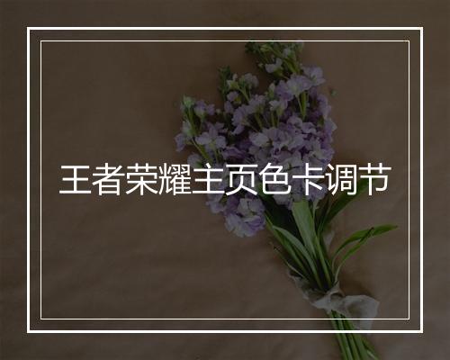 王者荣耀主页色卡调节