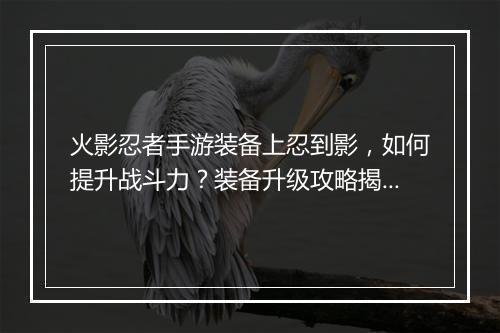 火影忍者手游装备上忍到影，如何提升战斗力？装备升级攻略揭秘！