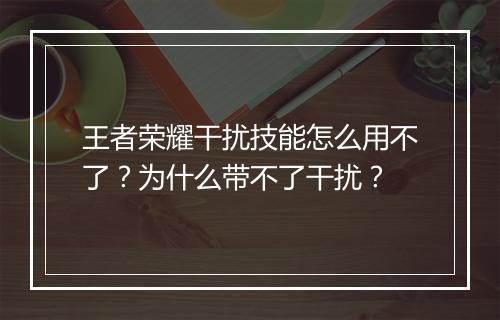 王者荣耀干扰技能怎么用不了？为什么带不了干扰？