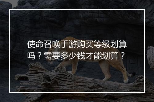 使命召唤手游购买等级划算吗？需要多少钱才能划算？