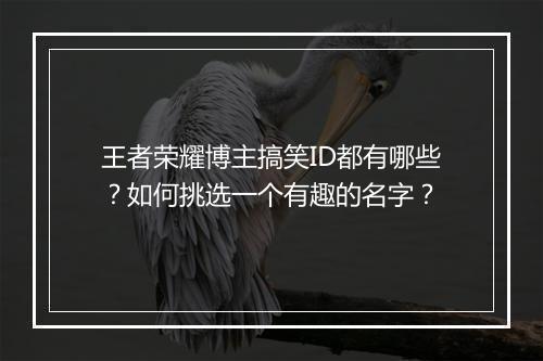 王者荣耀博主搞笑ID都有哪些？如何挑选一个有趣的名字？