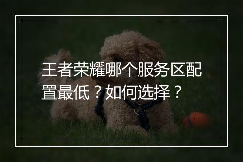 王者荣耀哪个服务区配置最低？如何选择？