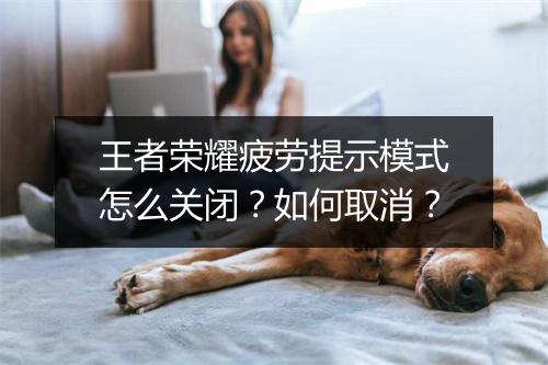 王者荣耀疲劳提示模式怎么关闭？如何取消？
