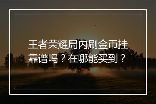 王者荣耀局内刷金币挂靠谱吗？在哪能买到？