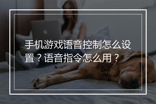 手机游戏语音控制怎么设置？语音指令怎么用？