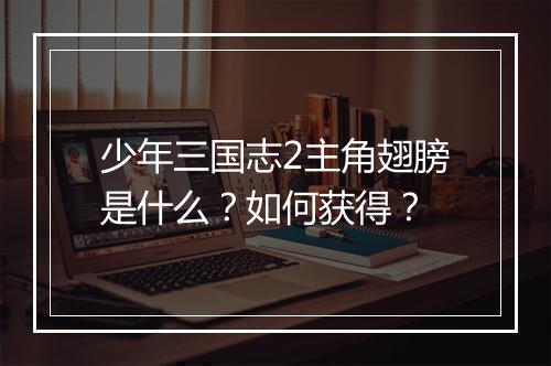 少年三国志2主角翅膀是什么？如何获得？
