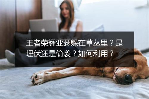 王者荣耀亚瑟躲在草丛里？是埋伏还是偷袭？如何利用？