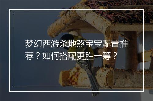 梦幻西游杀地煞宝宝配置推荐？如何搭配更胜一筹？