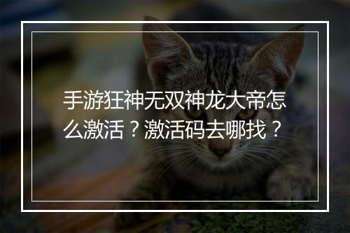 手游狂神无双神龙大帝怎么激活？激活码去哪找？