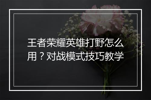 王者荣耀英雄打野怎么用？对战模式技巧教学