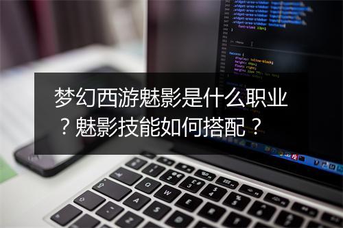 梦幻西游魅影是什么职业？魅影技能如何搭配？