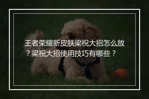 王者荣耀新皮肤梁祝大招怎么放？梁祝大招使用技巧有哪些？