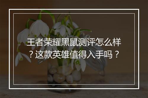 王者荣耀黑鼠测评怎么样？这款英雄值得入手吗？