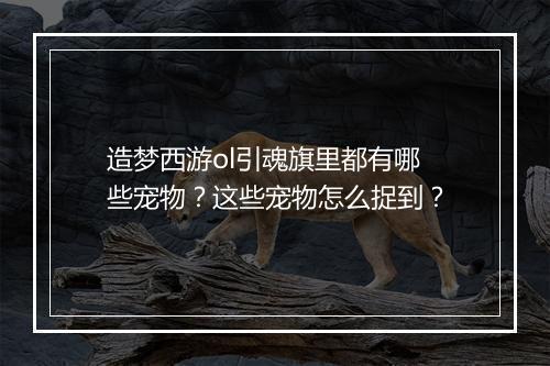 造梦西游ol引魂旗里都有哪些宠物？这些宠物怎么捉到？