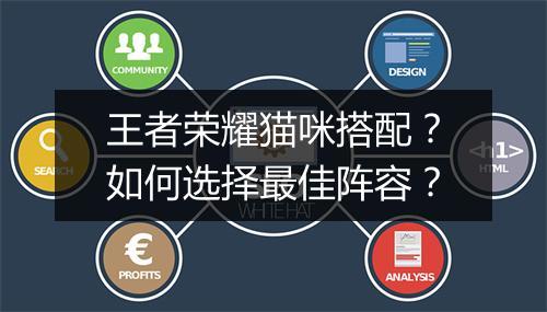 王者荣耀猫咪搭配？如何选择最佳阵容？