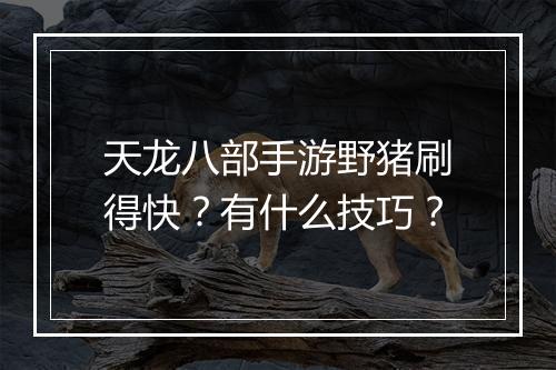天龙八部手游野猪刷得快？有什么技巧？
