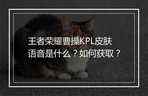 王者荣耀曹操KPL皮肤语音是什么？如何获取？
