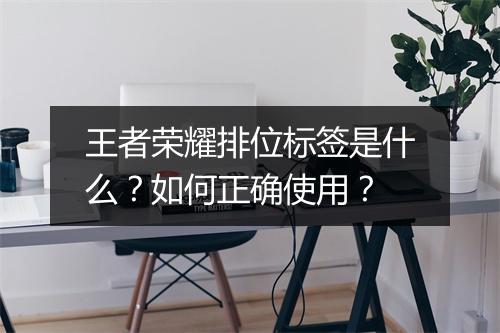 王者荣耀排位标签是什么？如何正确使用？