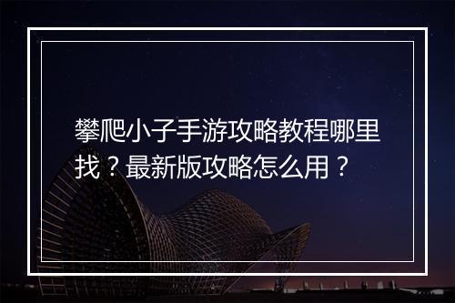 攀爬小子手游攻略教程哪里找？最新版攻略怎么用？
