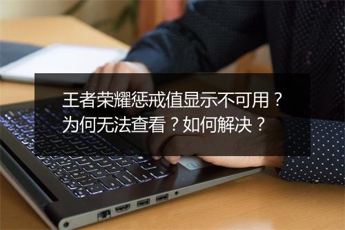 王者荣耀惩戒值显示不可用？为何无法查看？如何解决？