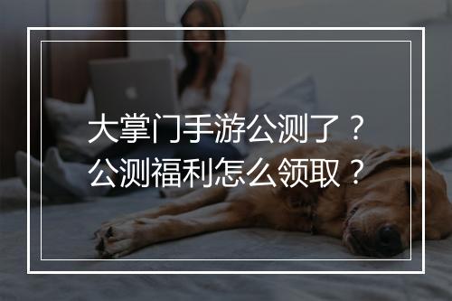 大掌门手游公测了？公测福利怎么领取？