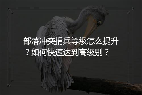 部落冲突捐兵等级怎么提升?如何快速达到高级别?