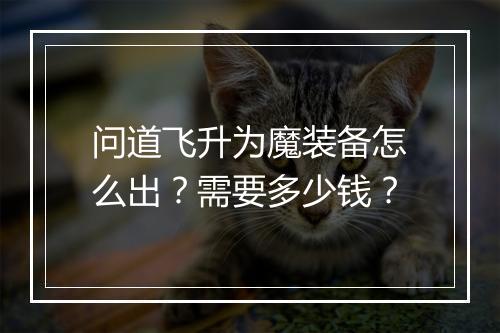问道飞升为魔装备怎么出？需要多少钱？