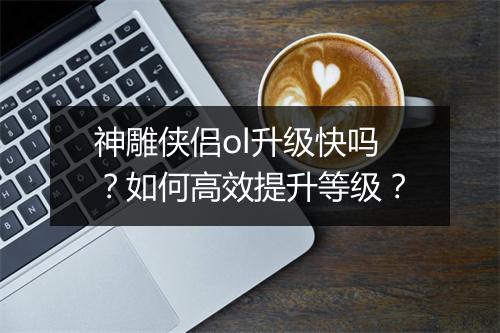 神雕侠侣ol升级快吗？如何高效提升等级？