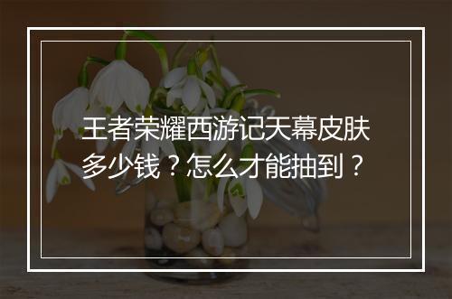 王者荣耀西游记天幕皮肤多少钱？怎么才能抽到？