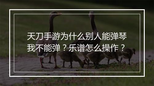 天刀手游为什么别人能弹琴我不能弹？乐谱怎么操作？
