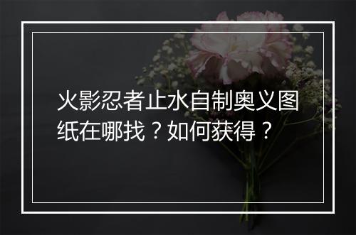 火影忍者止水自制奥义图纸在哪找？如何获得？