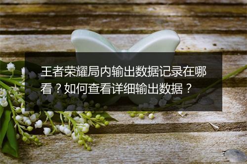 王者荣耀局内输出数据记录在哪看？如何查看详细输出数据？