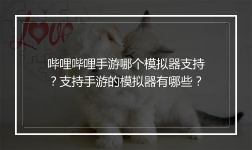 哔哩哔哩手游哪个模拟器支持？支持手游的模拟器有哪些？