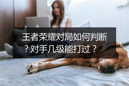 王者荣耀对局如何判断？对手几级能打过？