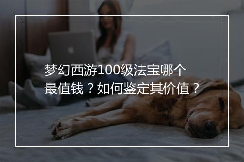 梦幻西游100级法宝哪个最值钱?如何鉴定其价值?
