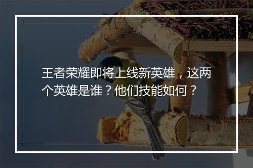 王者荣耀即将上线新英雄，这两个英雄是谁？他们技能如何？