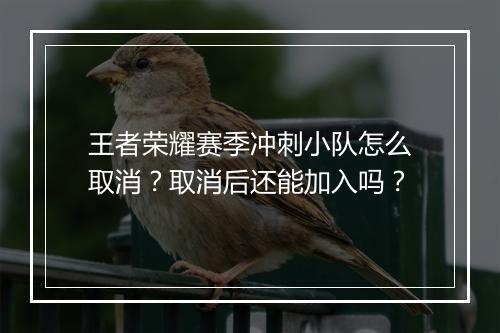 王者荣耀赛季冲刺小队怎么取消？取消后还能加入吗？