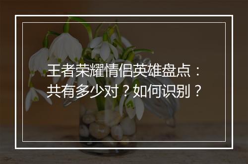王者荣耀情侣英雄盘点：共有多少对？如何识别？