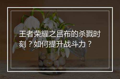 王者荣耀之吕布的杀戮时刻？如何提升战斗力？