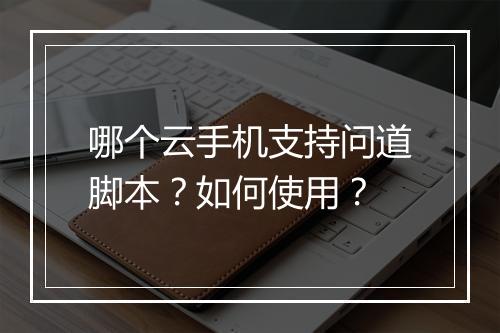 哪个云手机支持问道脚本？如何使用？