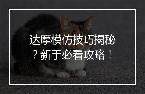 达摩模仿技巧揭秘？新手必看攻略！